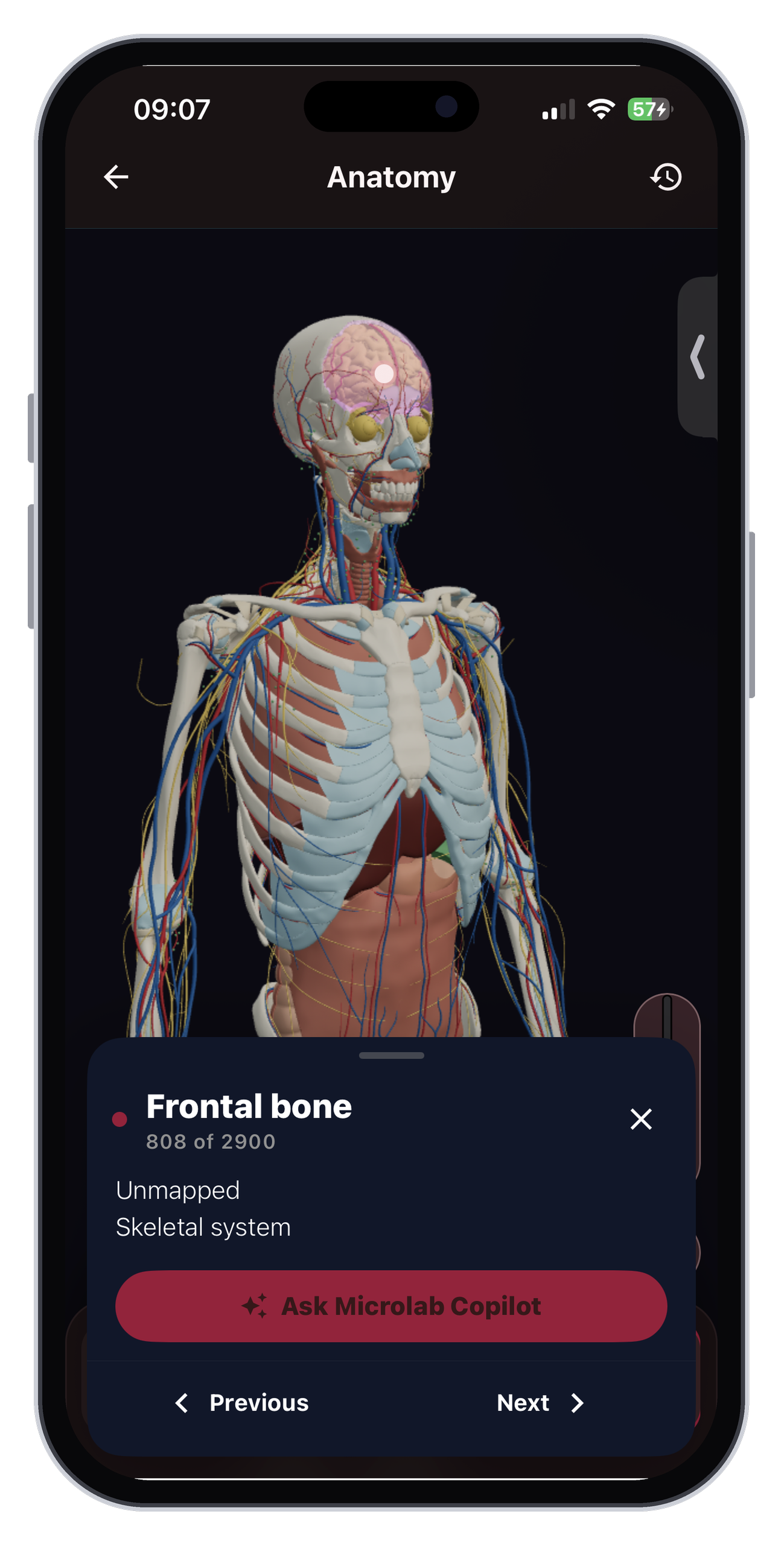 Free 3D anatomy app showing the human skeleton and organs
